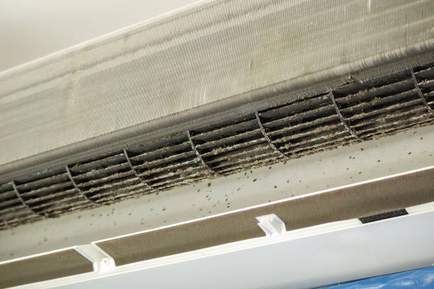 Best Affordable HVAC Duct Cleaning  in Conehatta, MS